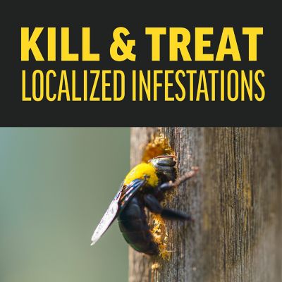 Image showing  8/18 oz. Quick Kill Carp Bee Ant Term Foam