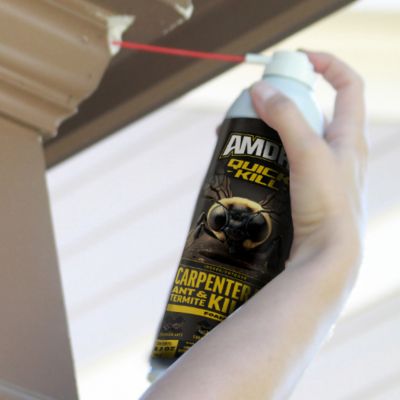 Image showing 7 th Amdro 8/18 oz. Quick Kill Carp Bee Ant Term Foam