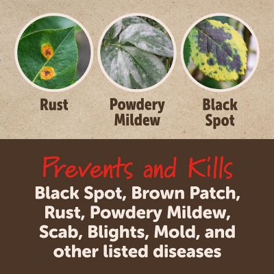 Image showing  Ready to Spray 3-in-1 Flower/Shrub Mite and Disease Control Insect Killer, 32 oz.