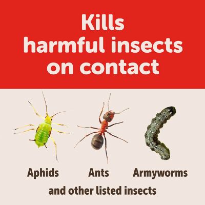 Image showing 6 th Sevin Ready to Spray 3-in-1 Flower/Shrub Mite and Disease Control Insect Killer, 32 oz.