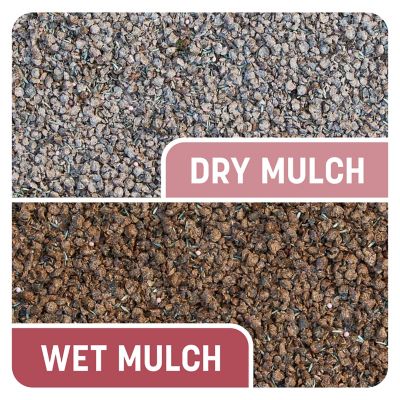 Image showing 5 th Pennington 5 lb. 100 sq. ft. Smart Patch Zenith Zoysia Grass Seed Mix