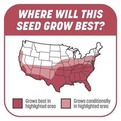 Image showing 6 th Pennington 5 lb. 100 sq. ft. Smart Patch Zenith Zoysia Grass Seed Mix