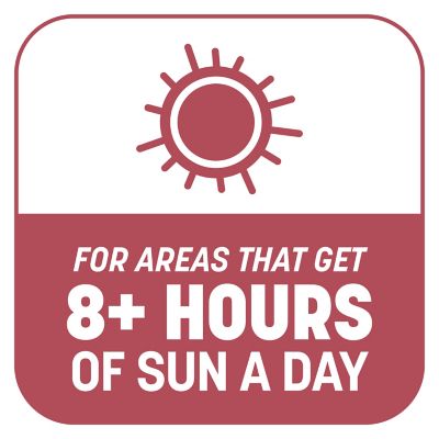 Image showing 7 th Pennington 5 lb. 100 sq. ft. Smart Patch Zenith Zoysia Grass Seed Mix