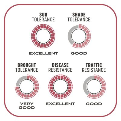 Image showing 9 th Pennington 5 lb. 100 sq. ft. Smart Patch Zenith Zoysia Grass Seed Mix