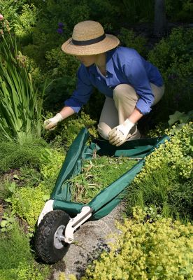 Image showing  150 lb. Wheeleasy LE Yard Cart