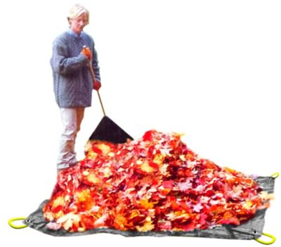 Image showing  Clean-Up Handles