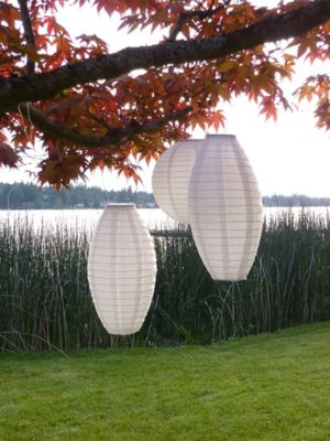 Image showing  Soji Pod - White