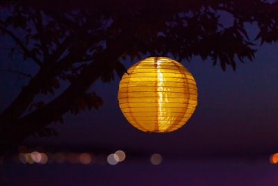 Image showing  Soji Globe Festival, Canary Yellow