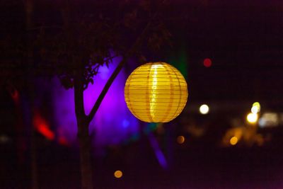 Image showing  Soji Globe Festival, Canary Yellow