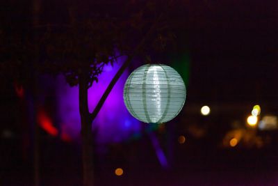 Image showing  Soji Globe Festival, Sage Green