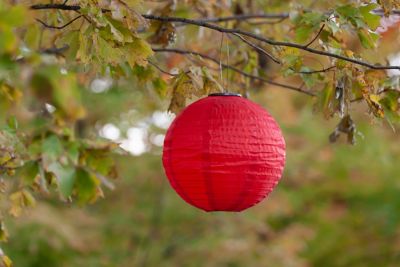 Image showing  Soji Globe Festival, Warm Red