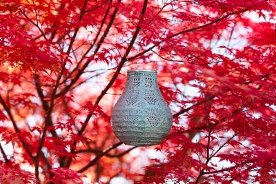 Image showing  Soji Stella Bulb Wave, Sage