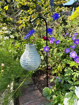 Image showing  Soji Stella Bulb Wave, Sage