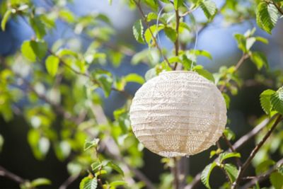 Image showing  Soji Stella Globe Wave, Pearl