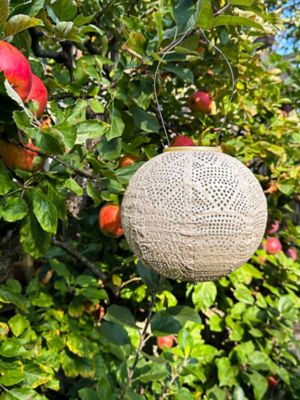 Image showing 5 th Allsop Home & Garden Soji Stella Globe Wave, Pearl