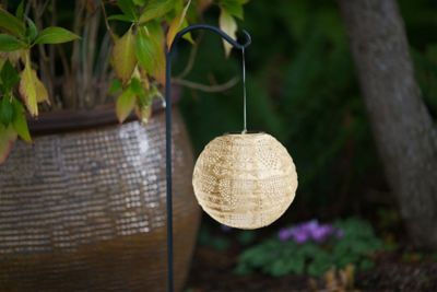 Image showing 7 th Allsop Home & Garden Soji Stella Globe Wave, Pearl