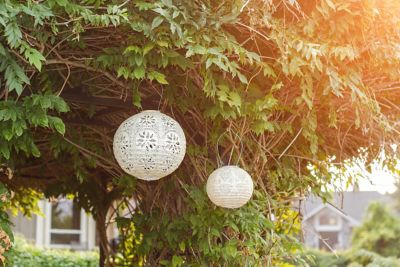 Image showing 6 th Allsop Home & Garden Soji Stella Globe Boho, Pearl