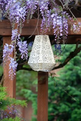 Image showing 6 th Allsop Home & Garden Soji Stella Prism Rose Lantern, Pearl