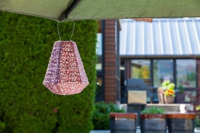 Image showing  Soji Stella Prism Rose Lantern, Metallic Orchid