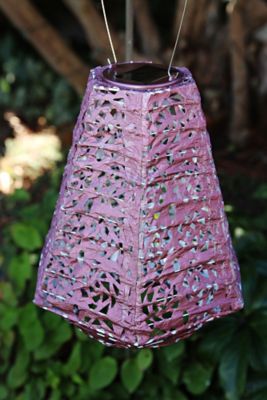 Image showing  Soji Stella Prism Rose Lantern, Metallic Orchid