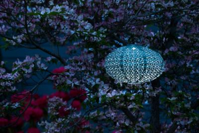 Image showing  Soji Stella Oval Wagon Wheel - Metallic Emerald