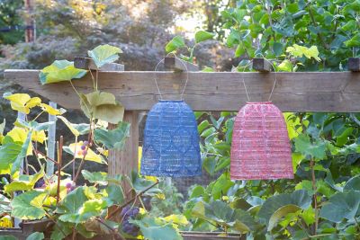 Image showing  Soji Stella Bell Marquis - Ultramarine