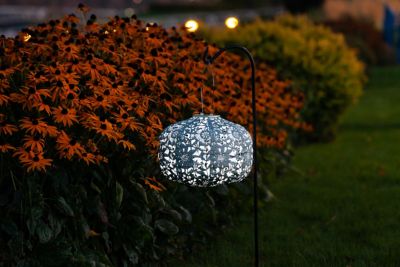 Image showing  Soji Stella Square Sunflower Lantern, Sage