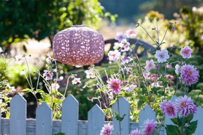 Image showing  Soji Stella Square Sunflower Lantern, Clay
