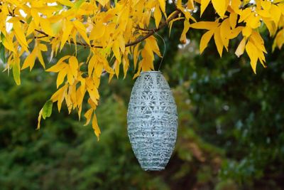 Image showing  Soji Stella Pod Wildflower Lantern, Sage