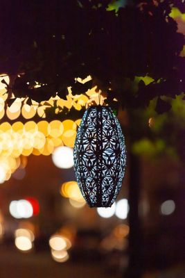 Image showing  Soji Stella Pod Wildflower Lantern, Sage