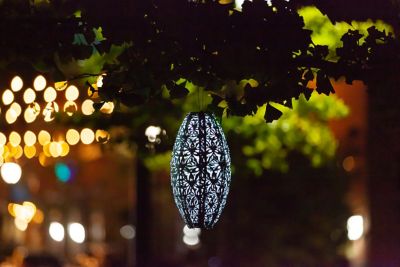 Image showing 5 th Allsop Home & Garden Soji Stella Pod Wildflower Lantern, Sage