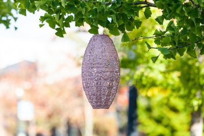 Image showing  Soji Stella Pod Wildflower Lantern, Blush
