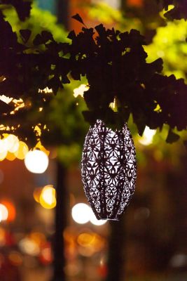 Image showing  Soji Stella Pod Wildflower Lantern, Blush