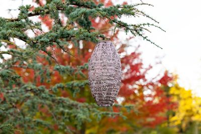 Image showing 5 th Allsop Home & Garden Soji Stella Pod Wildflower Lantern, Blush