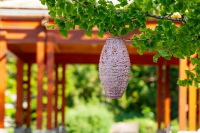 Image showing 7 th Allsop Home & Garden Soji Stella Pod Wildflower Lantern, Blush
