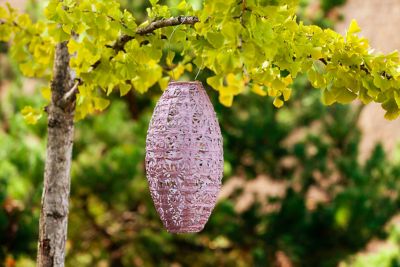 Image showing 8 th Allsop Home & Garden Soji Stella Pod Wildflower Lantern, Blush