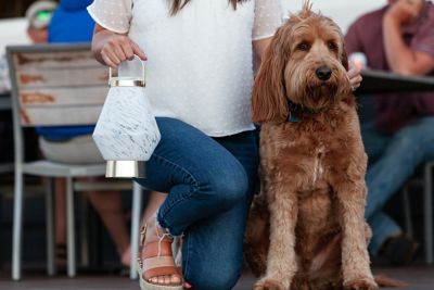 Image showing  Lightkeeper Lantern, Cone
