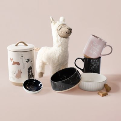 Image showing  Treat Shapes Medium Petbowl
