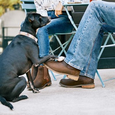 Image showing 6 th Ariat Men's Wexford Waterproof Boots