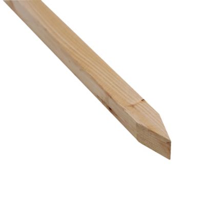 Outdoor Essentials 4 ft. Wood Tomato Stake, 12-Pack