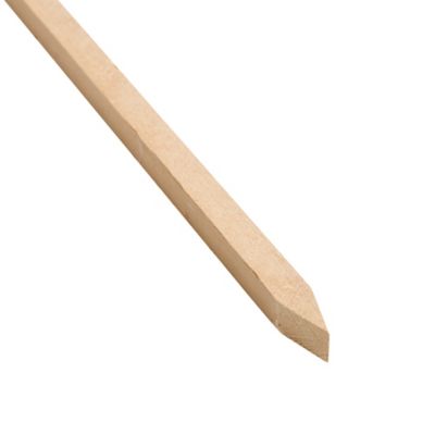 Outdoor Essentials 5 ft. Wood Tomato Stakes, 12-Pack