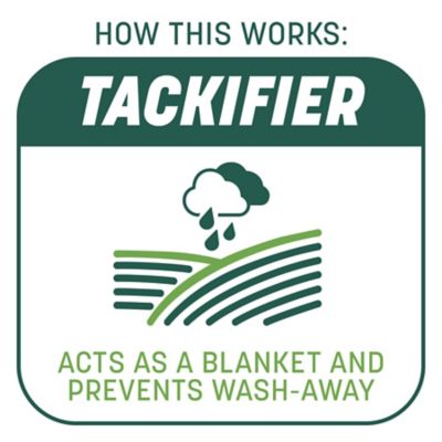 Image showing 5 th Pennington 10 lb. 200 sq. ft. Smart Patch Sun and Shade Grass Seed Mix