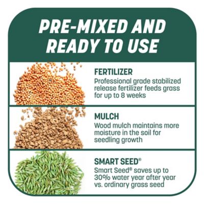 Image showing 6 th Pennington 10 lb. 200 sq. ft. Smart Patch Sun and Shade Grass Seed Mix
