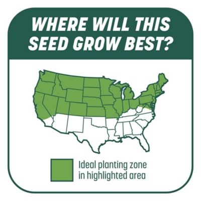 Image showing 7 th Pennington 10 lb. 200 sq. ft. Smart Patch Sun and Shade Grass Seed Mix