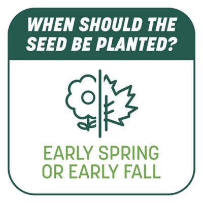 Image showing 8 th Pennington 10 lb. 200 sq. ft. Smart Patch Sun and Shade Grass Seed Mix