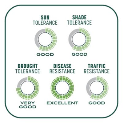 Image showing 9 th Pennington 10 lb. 200 sq. ft. Smart Patch Sun and Shade Grass Seed Mix