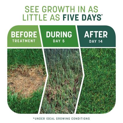 Image showing  10 lb. 200 sq. ft. Smart Patch Tall Fescue Grass Seed Mix