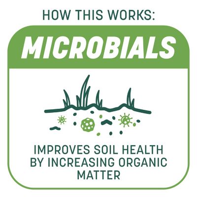 Image showing  10 lb. 200 sq. ft. Smart Patch Tall Fescue Grass Seed Mix