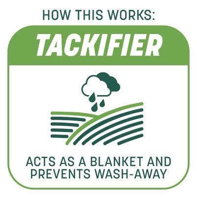 Image showing 5 th Pennington 10 lb. 200 sq. ft. Smart Patch Tall Fescue Grass Seed Mix