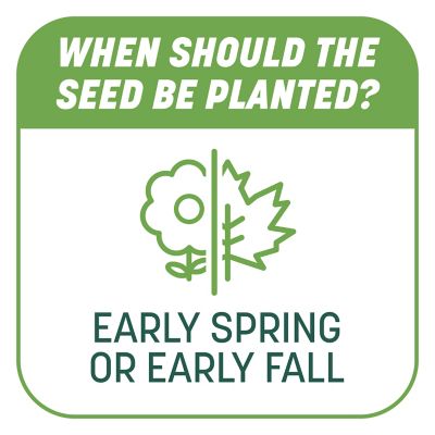 Image showing 8 th Pennington 10 lb. 200 sq. ft. Smart Patch Tall Fescue Grass Seed Mix